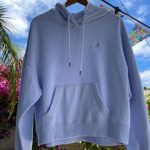 Baby Blue Hollister Hoodie